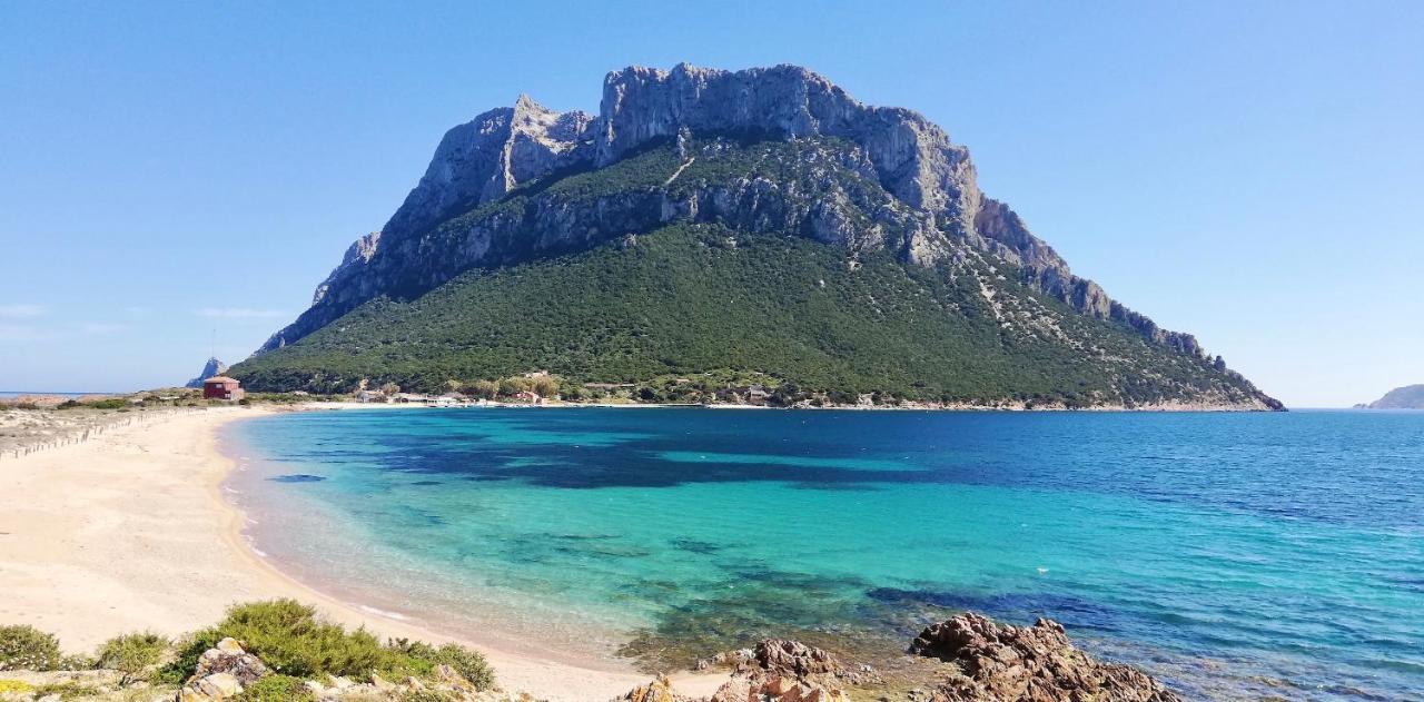 Iss Travel, Le Carrube Two Bedrooms Apartments With Air Conditioning San Teodoro  Eksteriør bilde