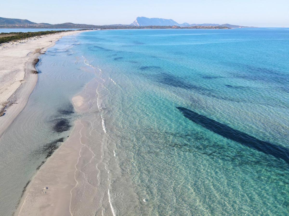 Iss Travel, Le Carrube Two Bedrooms Apartments With Air Conditioning San Teodoro  Eksteriør bilde